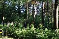 5km(4)