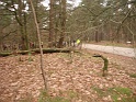Oudjaarloop 14