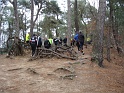 Oudjaarloop 31