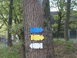 Bos-_en_Natuurloop_2022_73.jpg