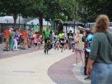 Foxloop_2022_002.jpg