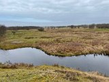 Weekend_2023_278.jpg