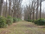 Weekend_2023_296.jpg