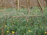 Weekend_2023_305.jpg