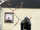Houffalize_2024_240.jpg